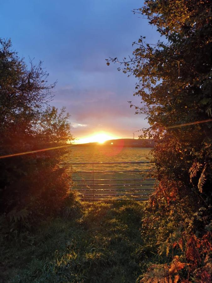 Penhallow House St Newlyn East ภายนอก รูปภาพ